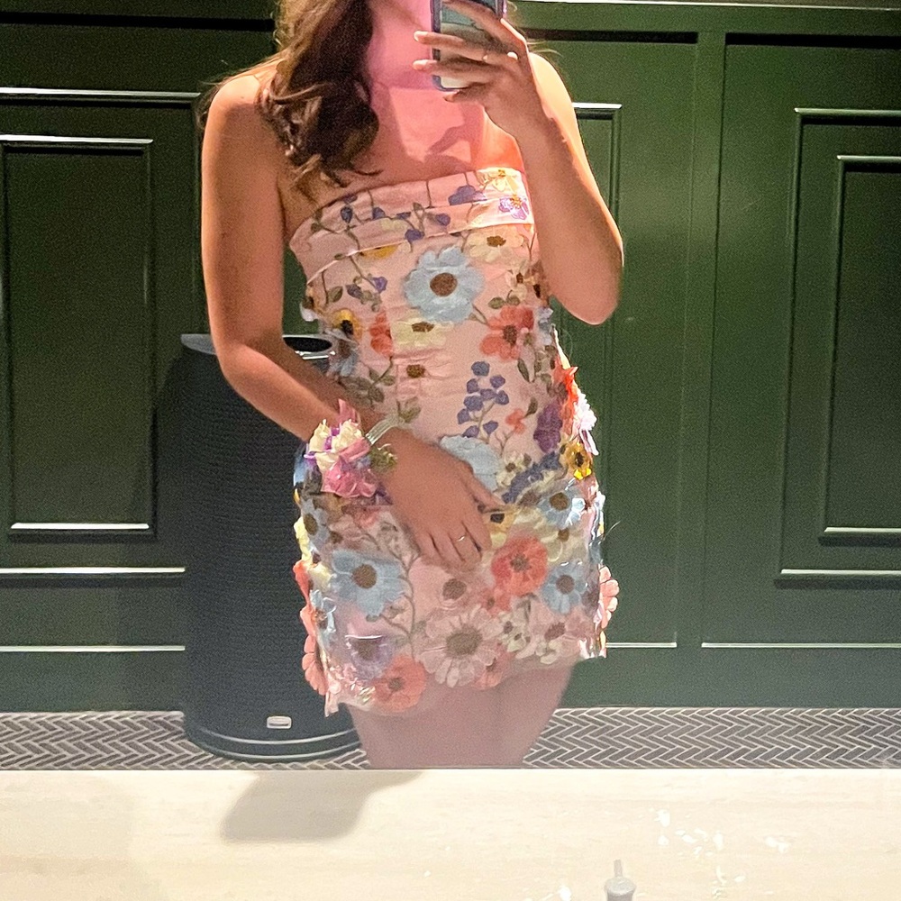 Floral Embroidered Pink Strapless Dress